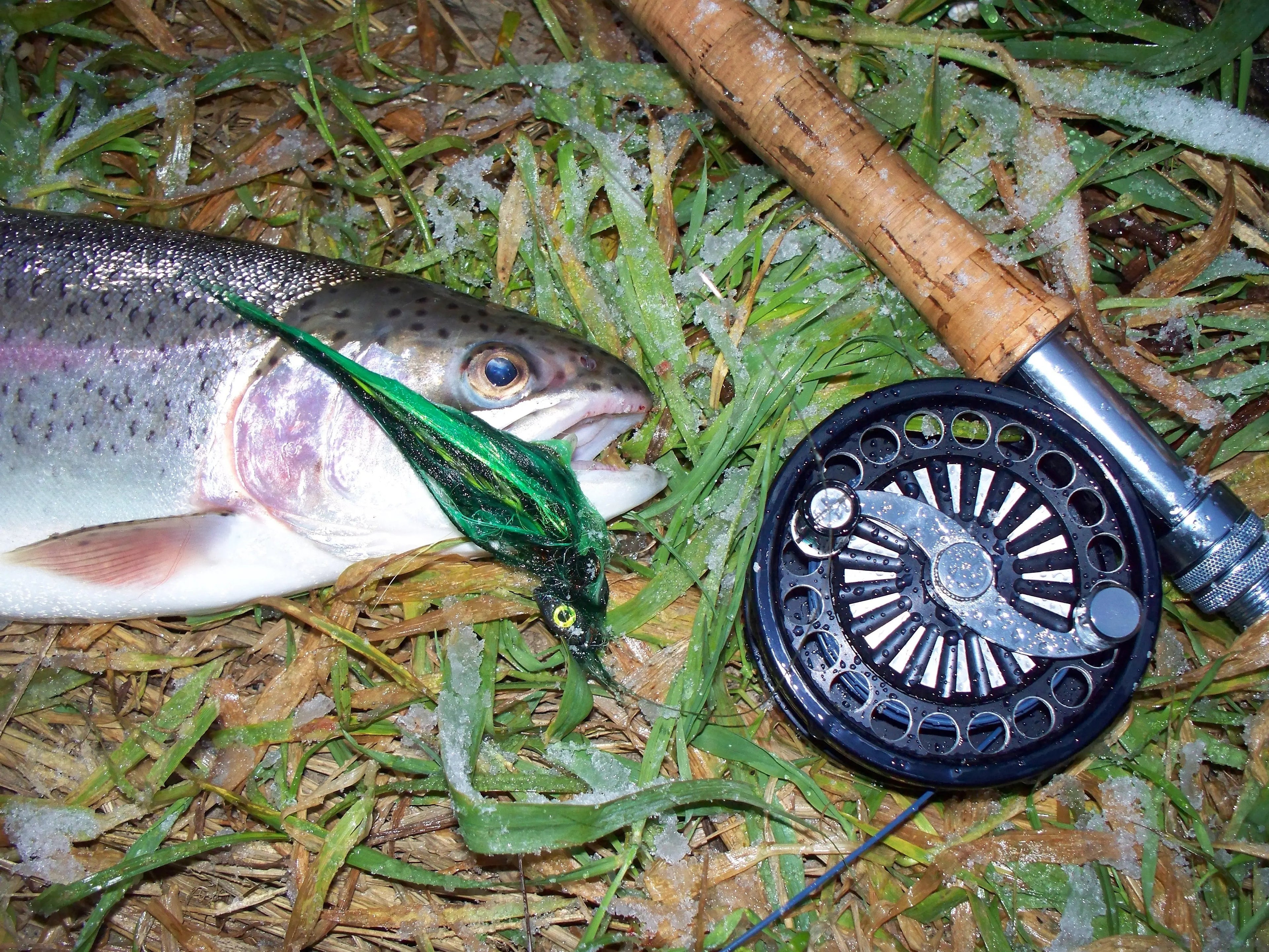 Forellen Streamer Elastic-Tungsten