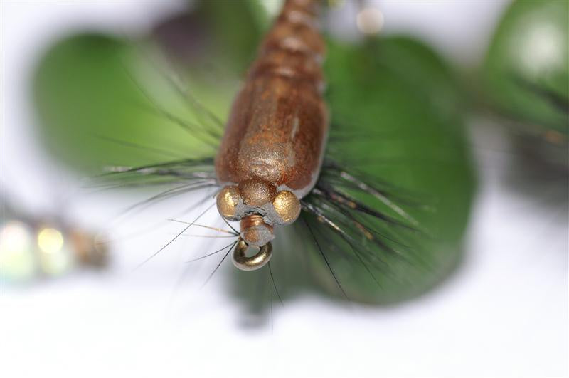 Nymphenköder Elastic-Tungsten