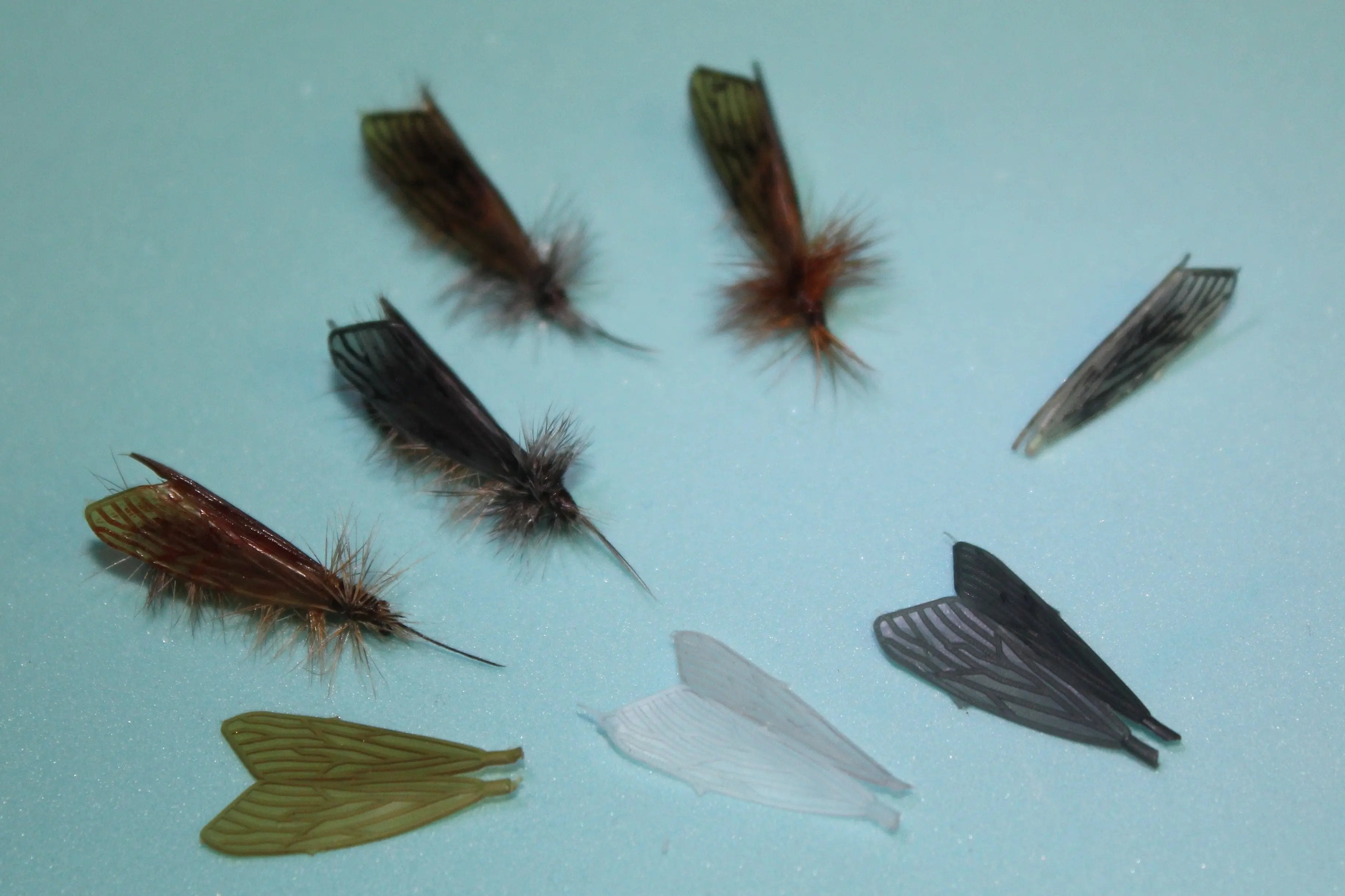 Köcherfliegen Flügel Elastic-Tungsten