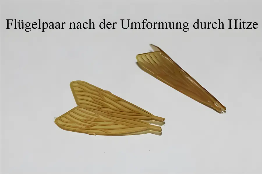 Köcherfliegen Flügel Elastic-Tungsten