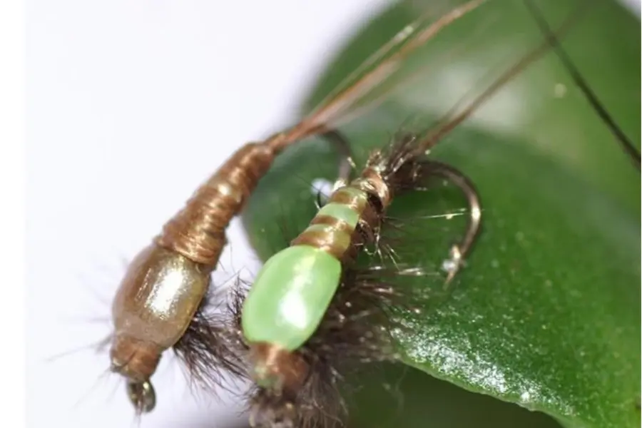 Nymphenkörper Elastic-Tungsten