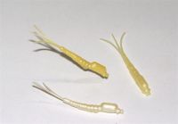 Maifliegenkrper aus elastischem Kunststoff