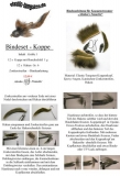 BINDESET KOPPE 1b