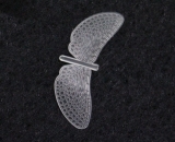 Maifliegen-Flügel